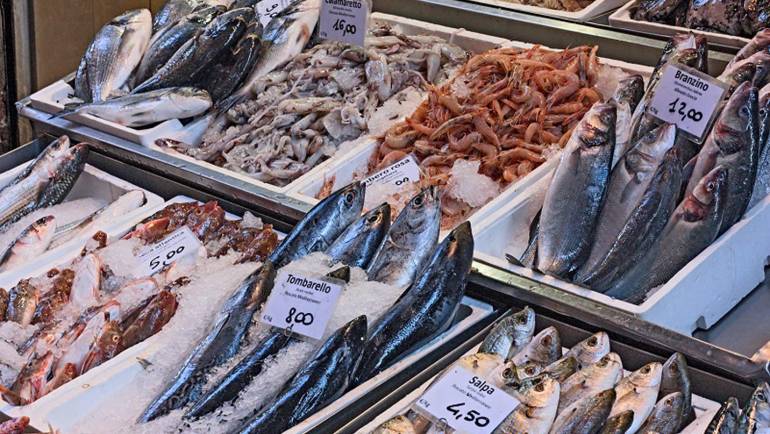 A Wide Selection of Fish